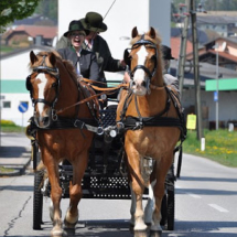 Fahrabzeichen-2014-34