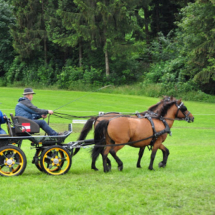 Fahrertreffen-2015-03