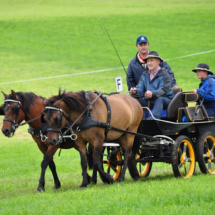 Fahrertreffen-2015-04