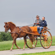 Fahrertreffen-2015-10