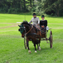 Fahrertreffen-2015-100