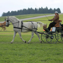 Fahrertreffen-2015-105