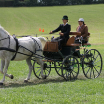 Fahrertreffen-2015-106