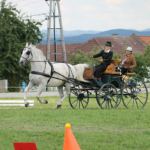 Fahrertreffen-2015-108