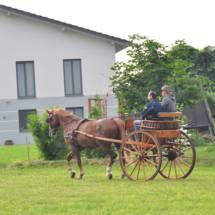 Fahrertreffen-2015-11