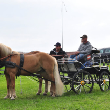 Fahrertreffen-2015-12