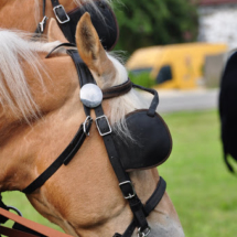 Fahrertreffen-2015-13