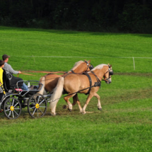 Fahrertreffen-2015-15