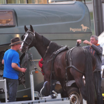 Fahrertreffen-2015-17