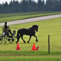 Fahrertreffen-2015-26