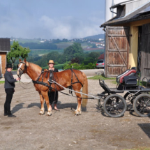 Fahrertreffen-2015-28