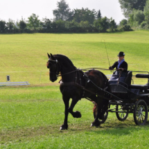 Fahrertreffen-2015-33