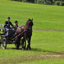 Fahrertreffen-2015-35