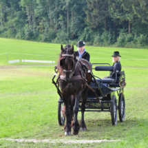 Fahrertreffen-2015-36