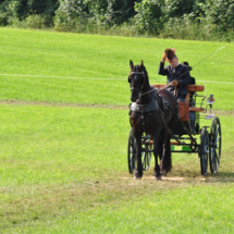 Fahrertreffen-2015-38