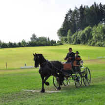 Fahrertreffen-2015-39