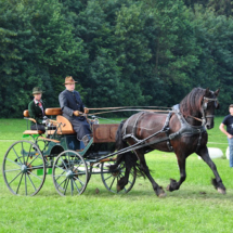 Fahrertreffen-2015-40