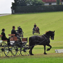 Fahrertreffen-2015-42