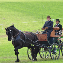 Fahrertreffen-2015-43