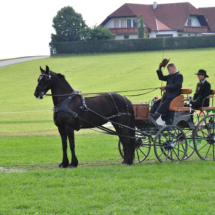 Fahrertreffen-2015-44