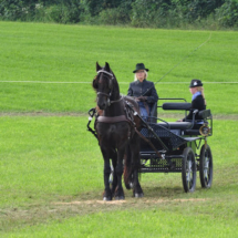 Fahrertreffen-2015-46