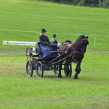 Fahrertreffen-2015-47