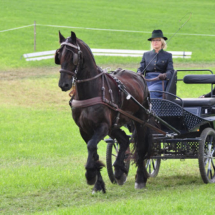 Fahrertreffen-2015-48