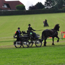 Fahrertreffen-2015-49