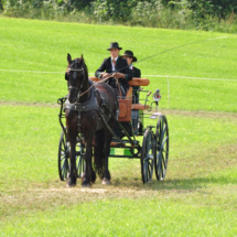 Fahrertreffen-2015-50