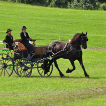 Fahrertreffen-2015-51