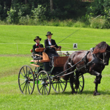 Fahrertreffen-2015-53