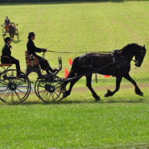 Fahrertreffen-2015-54