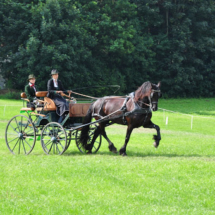 Fahrertreffen-2015-55