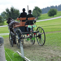 Fahrertreffen-2015-57