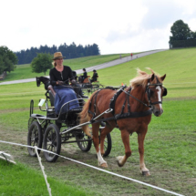 Fahrertreffen-2015-58