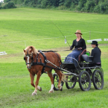 Fahrertreffen-2015-59