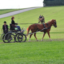 Fahrertreffen-2015-62