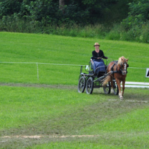 Fahrertreffen-2015-64