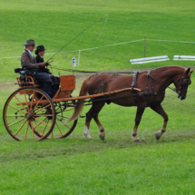 Fahrertreffen-2015-66