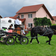 Fahrertreffen-2015-67