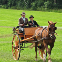 Fahrertreffen-2015-68