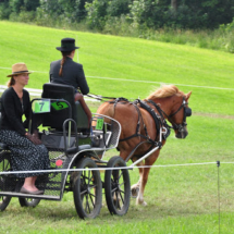 Fahrertreffen-2015-70