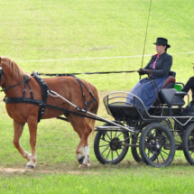 Fahrertreffen-2015-71