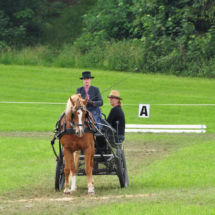 Fahrertreffen-2015-75