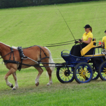 Fahrertreffen-2015-79