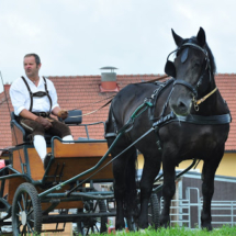 Fahrertreffen-2015-81