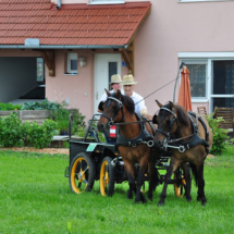 Fahrertreffen-2015-82