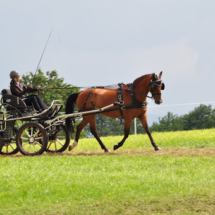 Fahrertreffen-2015-90