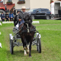 Fahrertreffen-2015-92