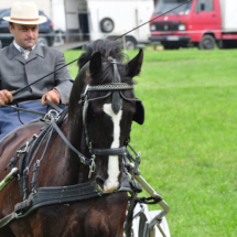 Fahrertreffen-2015-93